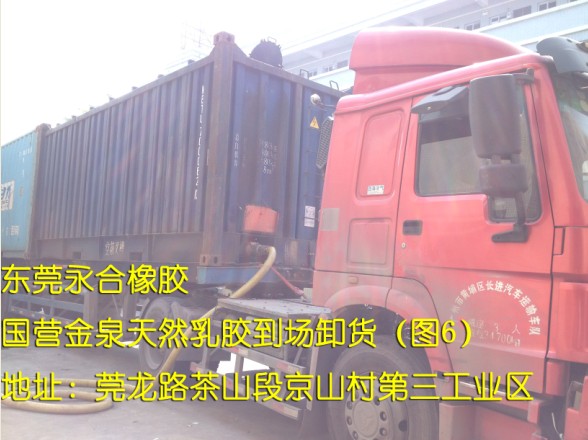 海南原装优质天然乳胶  海南天然乳胶  海南国产天然乳胶  海南金联天然乳胶