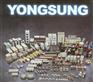 龙声YONGSUNG开关