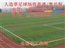 昭通 昆明 曲靖 奥贝斯人造草皮批发足球场运动地坪厂家施工