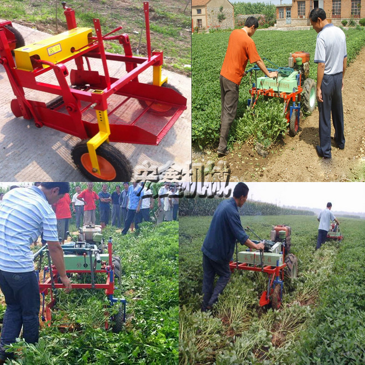 多功能收获机 土豆收获机 四轮带动的收获机可定做  花生土豆收获机  手扶带动收获机
