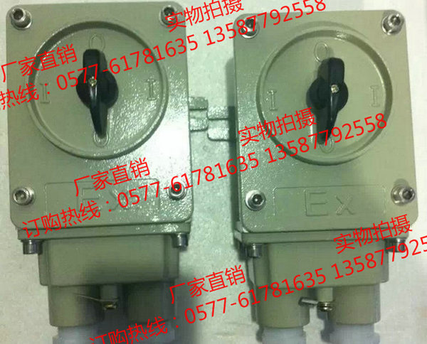 防爆转换开关BHZ51-10/3 220V