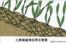 余姚三维植被网多少钱一平方米