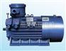 YB2-W、TH、WTH系列隔爆型三相异步电动机