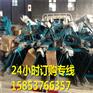 经典品质的汽油切割机 沥青路面切缝机 路面切割机