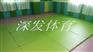深发体育防摔防滑舞蹈室专用地垫
