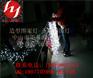 圣诞灯-超级大甩卖-LED冰条灯