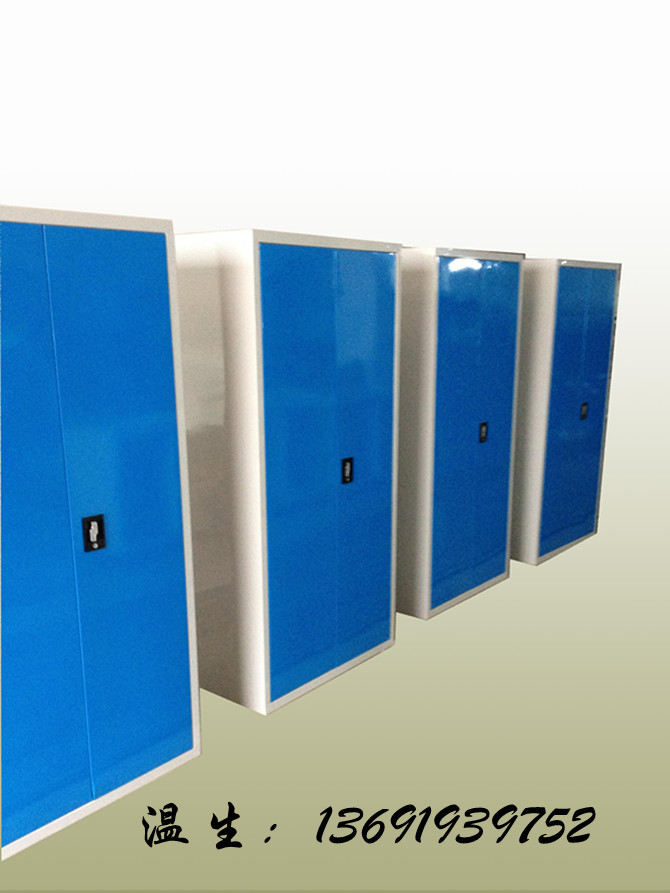 双开门工具柜  挂板式工具柜  五抽标准工具柜