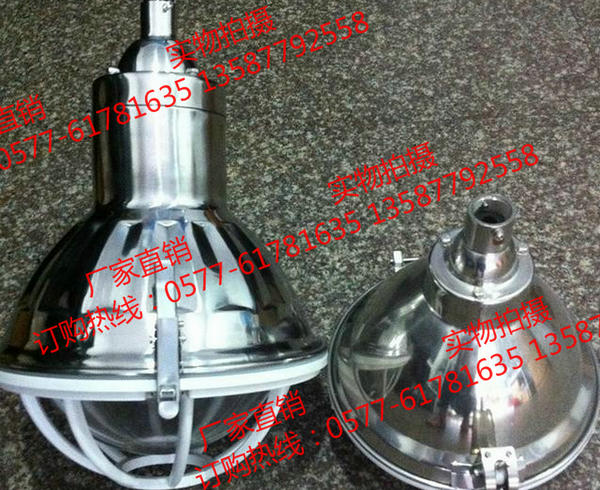 FAD-G-L250b2H防水防尘防腐灯