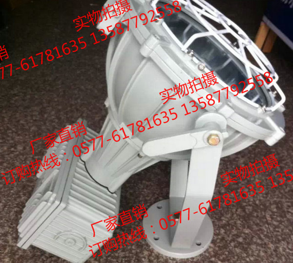 BTd-L1000Z 1000W 防爆投光灯