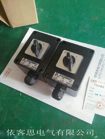 FZM-10双极防水防尘防腐照明开关触点组合形式  单极照明开关  双控照明开关  三防照明开关