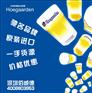 长沙原装进口比利时福佳白啤酒Hoegaarden