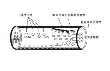CFG强磁式内磁水处理器价格&nbsp;&nbsp;强磁水处理器水处&nbsp;&nbsp;强磁除垢器&nbsp;&nbsp;磁力除垢