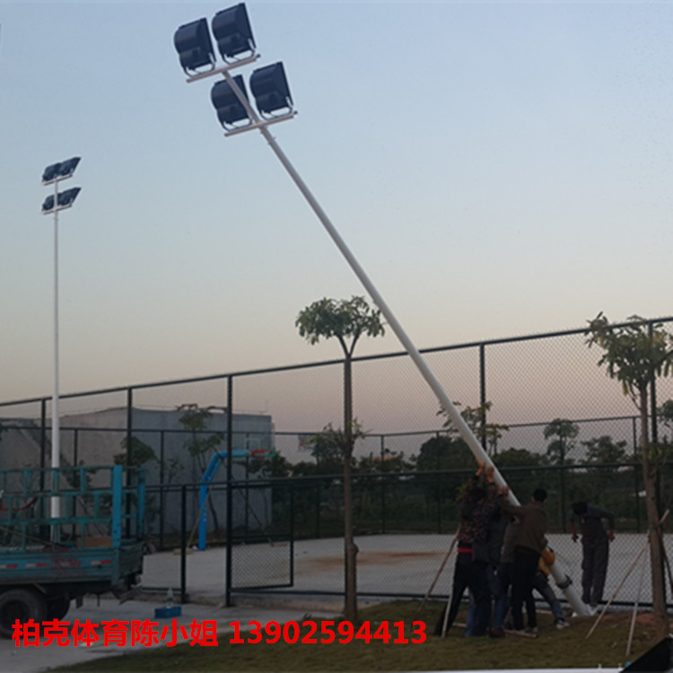 供应湖南篮球场灯杆 益阳羽毛球场照明灯具 8米镀锌灯杆直销
