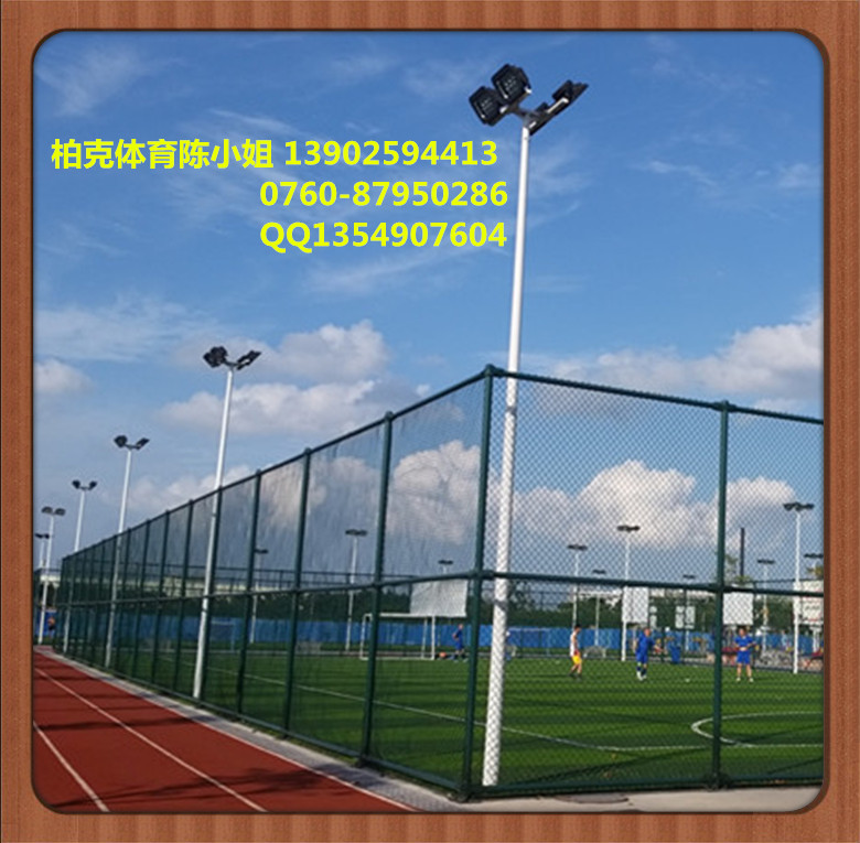 供应湖南篮球场灯杆 益阳羽毛球场照明灯具 8米镀锌灯杆直销
