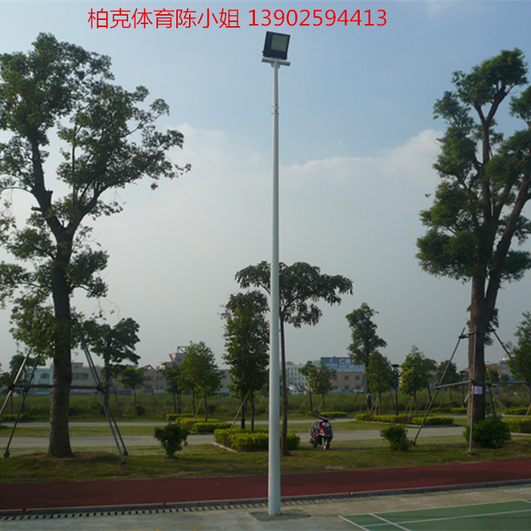 供应湖南篮球场灯杆 益阳羽毛球场照明灯具 8米镀锌灯杆直销