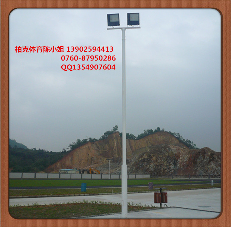 中山篮球场灯杆多少钱一套 户外篮球场镀锌灯杆尺寸定做  球场灯杆定做