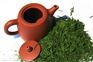 漳州红茶茶叶进口清关资料