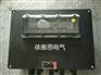 ZHF82-S-T8/12K25XX防水防尘防腐配电箱