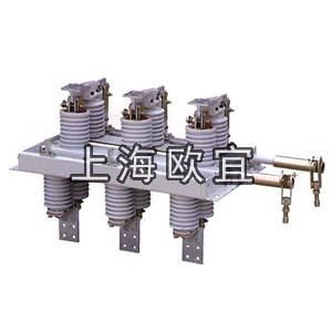 GN30-12隔离开关