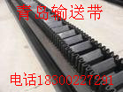 供應(yīng)裙邊帶 擋邊帶 大傾角輸送帶 環(huán)形帶廠家