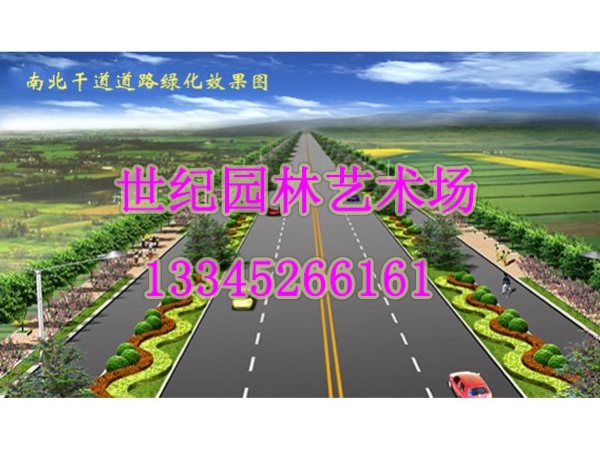 廠區(qū)道路綠化景觀