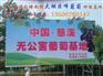 浙江葡萄|浙江慈溪葡萄|浙江葡萄基地|浙江葡萄产地