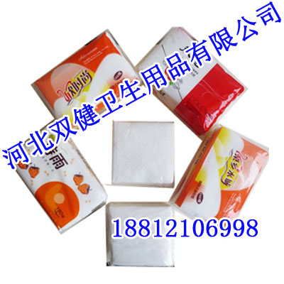 安阳餐巾纸厂产选双健纸业!专业制造商