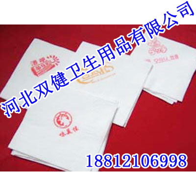 安阳餐巾纸厂产选双健纸业!专业制造商