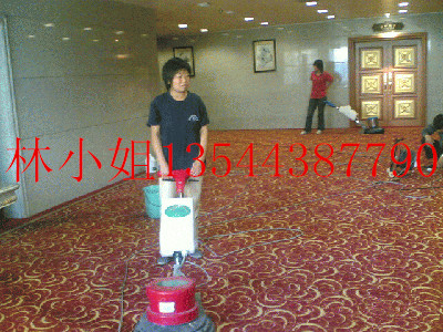 电影院地毯清洗消毒报价/广州专业地毯清洗公司