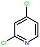 2,4-二氯吡啶 26452-80-2 苏州二氯吡啶工厂