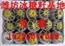 供应潍坊冰糖籽甜瓜