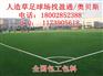 承德市 沧州市 　泊头市奥贝斯足球场运动地坪