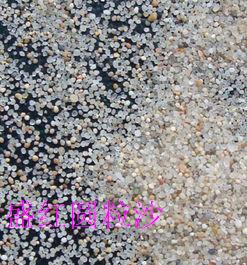 供应20-40目水洗海沙  儿童沙池海沙  沙滩海沙