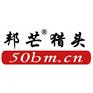 东营猎头公司