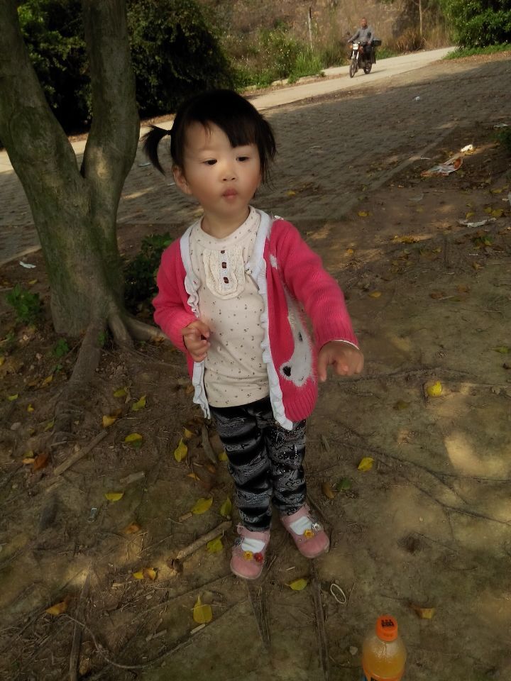 东莞、深圳、广州到黔南自治州罗甸县液体危险品货运专线  腐蚀性物品运输  液体危险品运输  2-9类危险品
