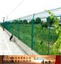 澄迈高速路围栏网，五指山工地围栏现货，海口球场围栏网批发