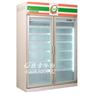 恩施便利店用的都是几门饮料展示柜
