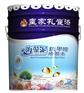中国十大品牌涂料孔雀漆，厂家直供内外墙乳胶漆