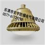 CCD97-F70W-70W投光灯免维护防爆LED投光灯