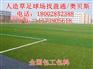 桦南县桦川县汤原县 奥贝斯人造草皮批发足球场运动地坪厂家