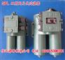 SPL-40C SPL-40 双筒网片式过滤器