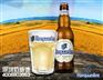 重庆进口原装福佳白整柜代购Hoegaarden