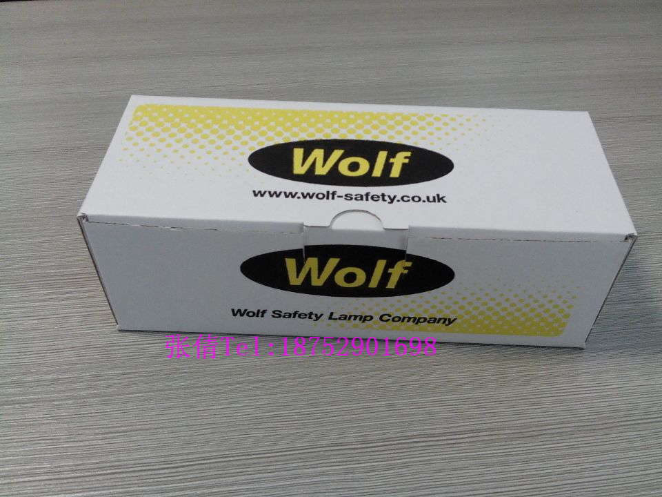 原装进口英国狼牌防爆灯WOLF灯TS-24狼牌EC防爆灯  英国进防爆工作灯