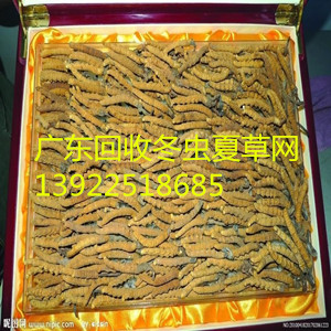 珠海香洲大量回收冬虫夏草 珠海回收冬虫夏草 香洲回收冬虫夏草