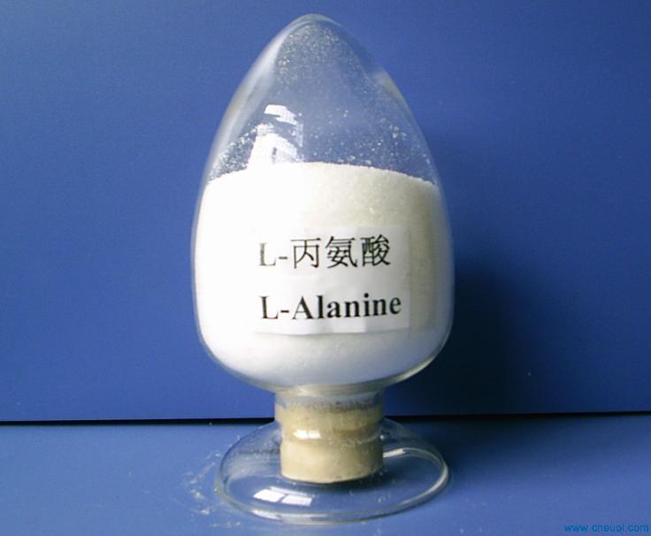 供应L-丙氨酸 CAS:56-41-7  南箭牌  L-丙氨酸厂家  L-丙氨酸价格  L-丙氨酸作用
