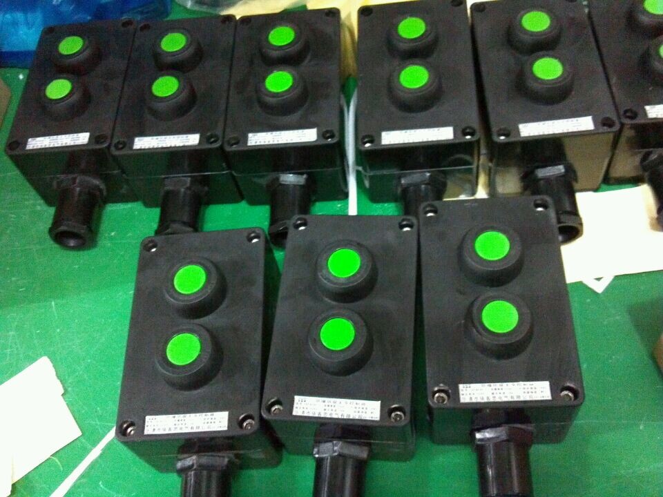 bza8050防爆防腐主令控制器10A  控制按钮盒