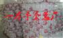 珠海手套厂
