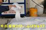 中科筑诚zc-12菱镁水泥发泡剂