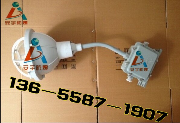 防水防尘工矿灯FAD-T-L250/N250Gz  三防工矿灯  金卤灯250W  三防灯厂家报价