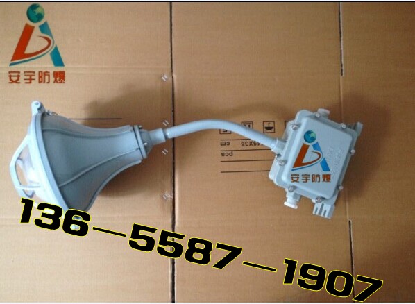 防水防尘工矿灯FAD-T-L250/N250Gz  三防工矿灯  金卤灯250W  三防灯厂家报价